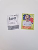 Panini Sticker NZL12