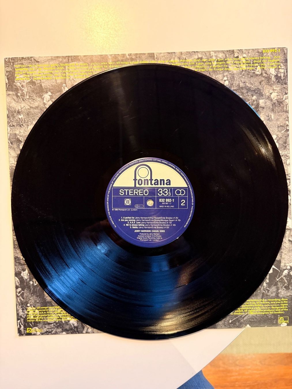 Dischi in vinile: Jerry Harrison - Casual Gods - Original – Usato da Unterägeri venduto da hero87333 2