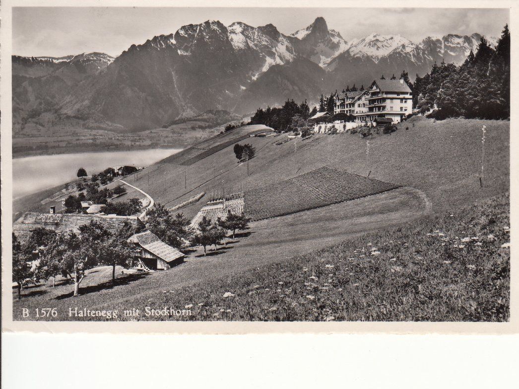 Cartoline postali: Haltenegg 1951 – Usato da Bürglen TG venduto da StampGraf
