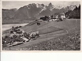 Haltenegg 1951