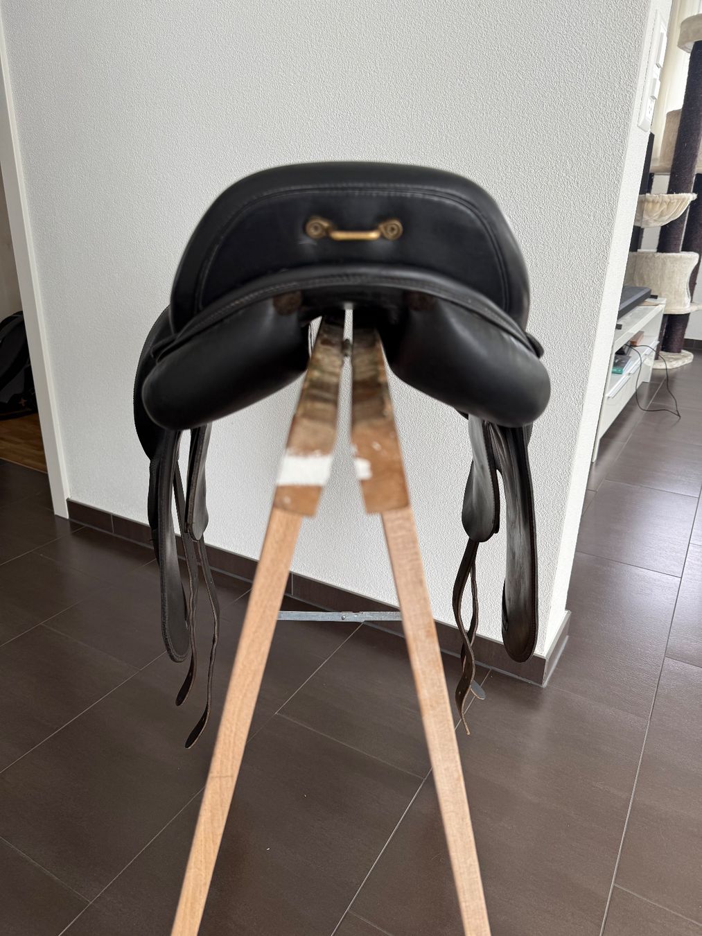 Sattel & Sattelzubehör: Sattel Eques Sella Plus 17“ – Gebraucht aus Bözberg von Pena05 1