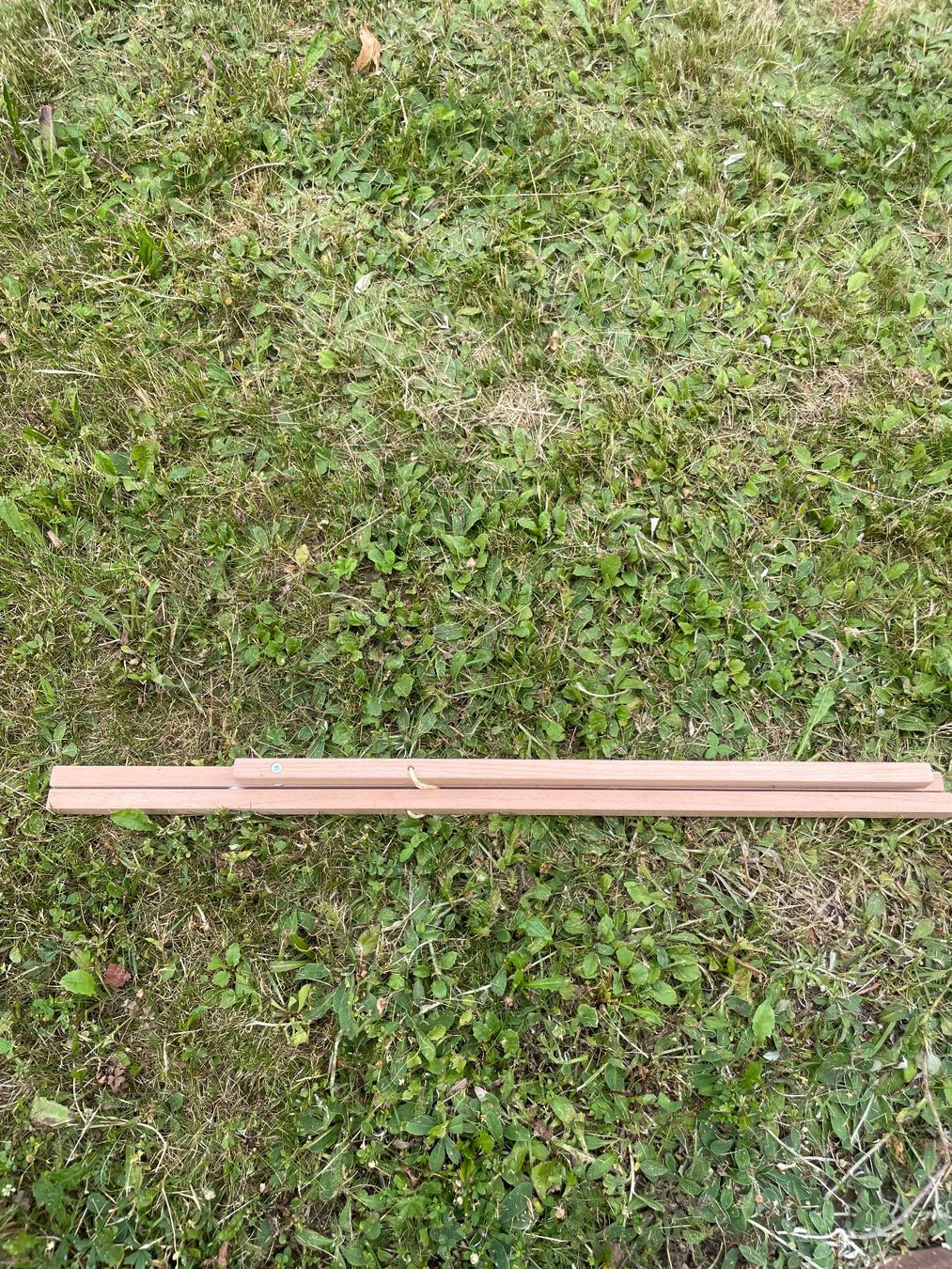 Musikinstrumente: Cavalletto Alphorn s – Neu und originalverpackt aus Brè sopra Lugano von ron_c2hb 2