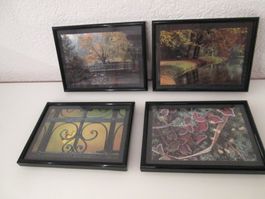 4  BILDER