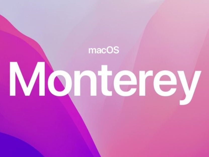 Apple Software: Apple macOS 12 Monterey Operating system, bootable USB-stick – Nuovo (secondo la descrizione) da Gerlafingen venduto da PC-Help-Zuchwil-GmbH