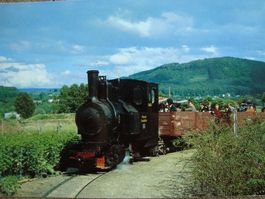 Schinznacher Baumschulbahn Dampflok Pinus