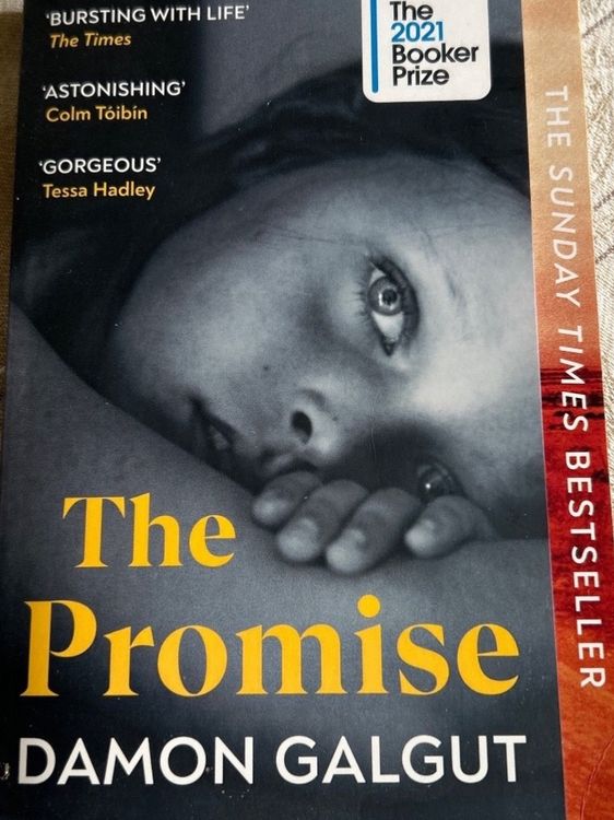 The Promise - Damon Galgut | Kaufen Auf Ricardo