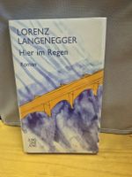 ( Neu)Lorenz Langenegger, Hier im Regen, Roman