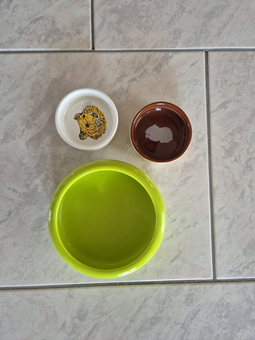 Gabbie, trasporto & Sicurezza: Nagerkäfig für Hamster oder Mäuse inkl. Zubehör – Usato da Auenstein venduto da stamsi 2