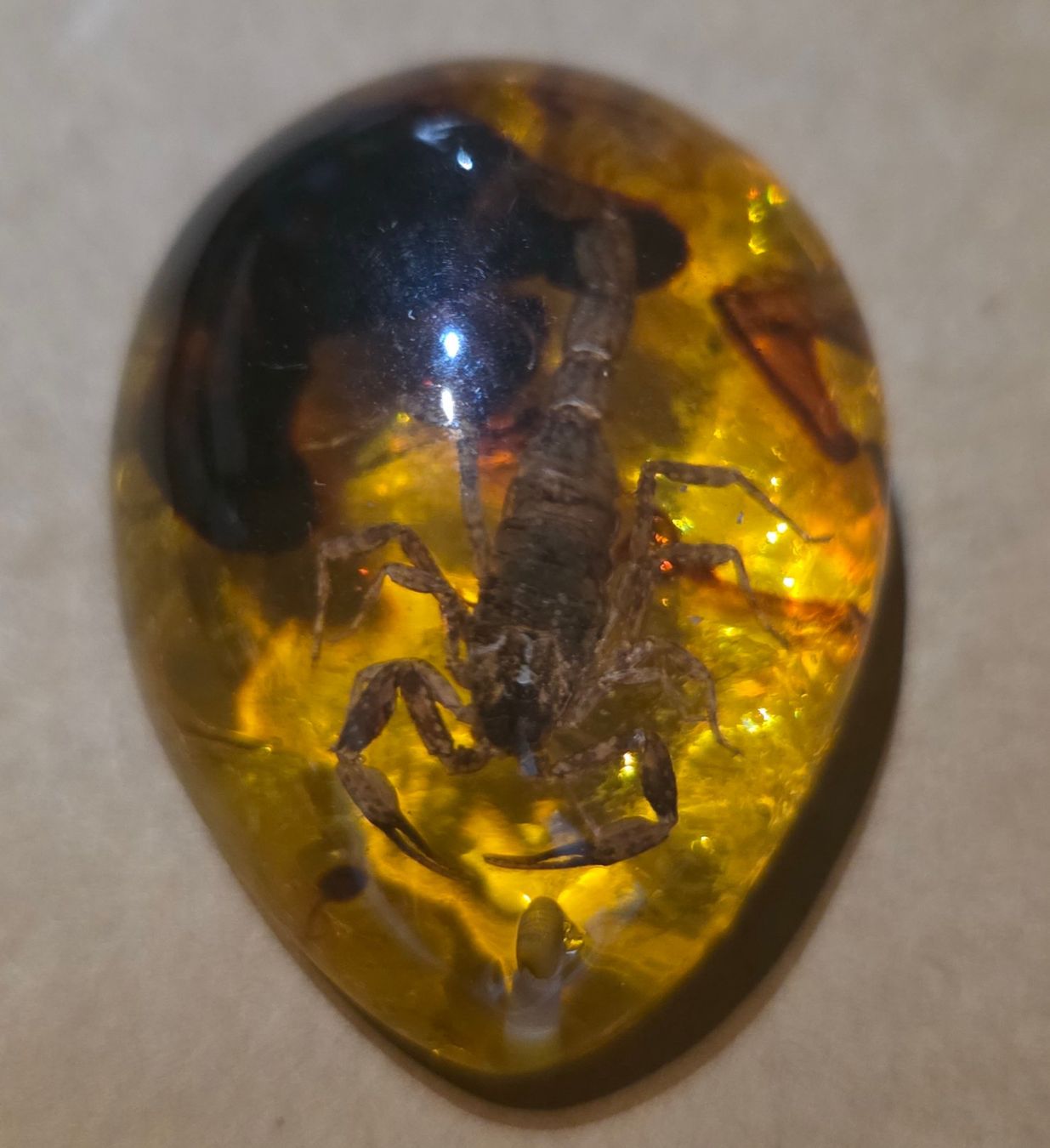 Minerali & Pietre curative: 176.8 ct Vrai Scorpion – Usato da Carouge GE venduto da Crystal_Energy