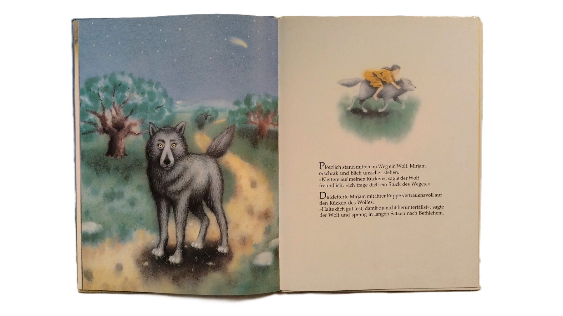 Libri: Mirjams Geschenk - Eine Weihnachtsgeschichte /Marcus Pfister – Usato da Bellach venduto da JingleJerry 7