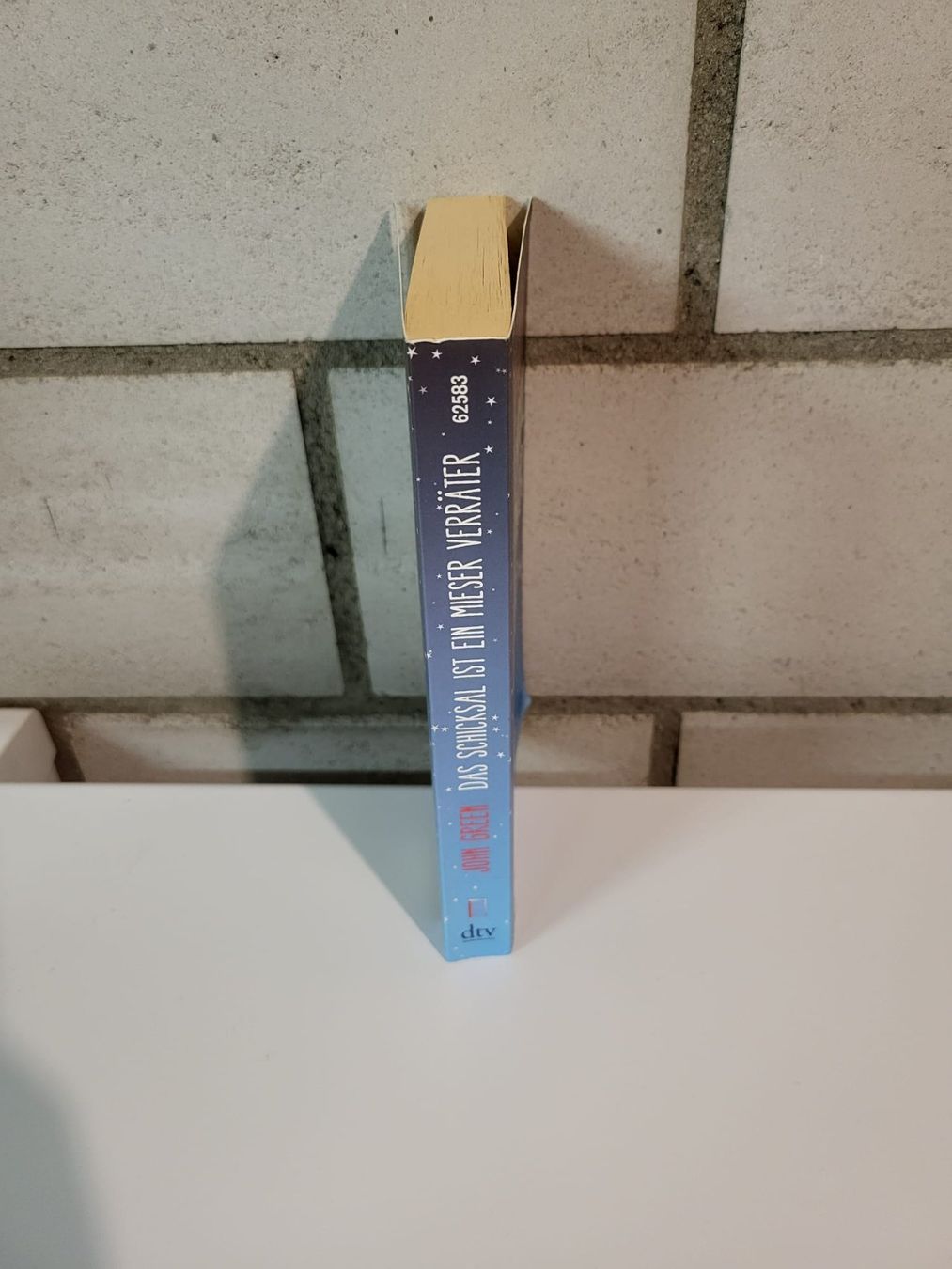Libri: Midnight Sun - Trish Cook – Usato da Wynigen venduto da NLe0413 2