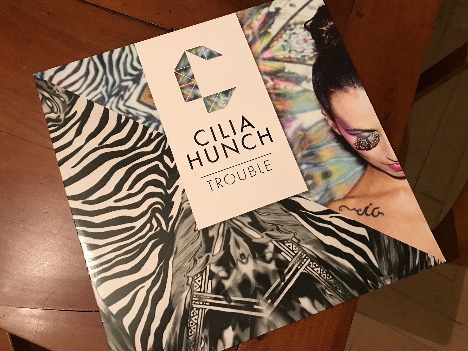Dischi in vinile: Musik LP Cilia Hunch – Usato da Ebnat-Kappel venduto da Trolley