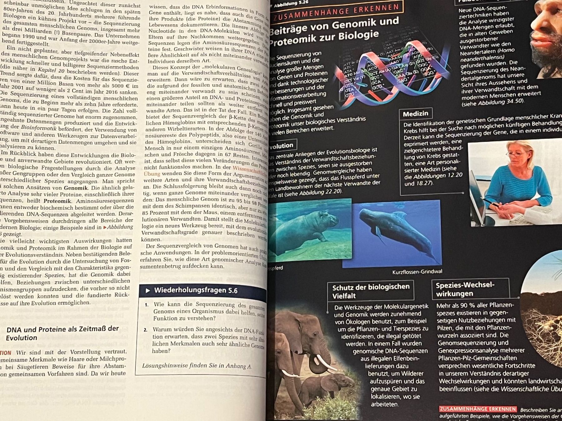 Libri: Biologie Campbell Neu – Nuovo (secondo la descrizione) da Schlieren venduto da abi_lc9g 6