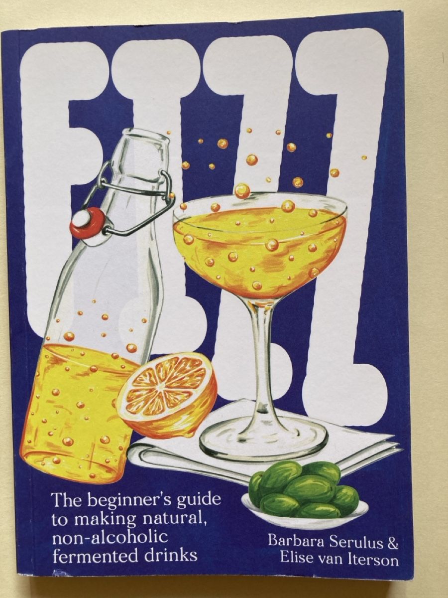 Libri: Buch "Fizz" von Serulus/van Iterson - fermented drinks – Usato da Zürich venduto da 000rk
