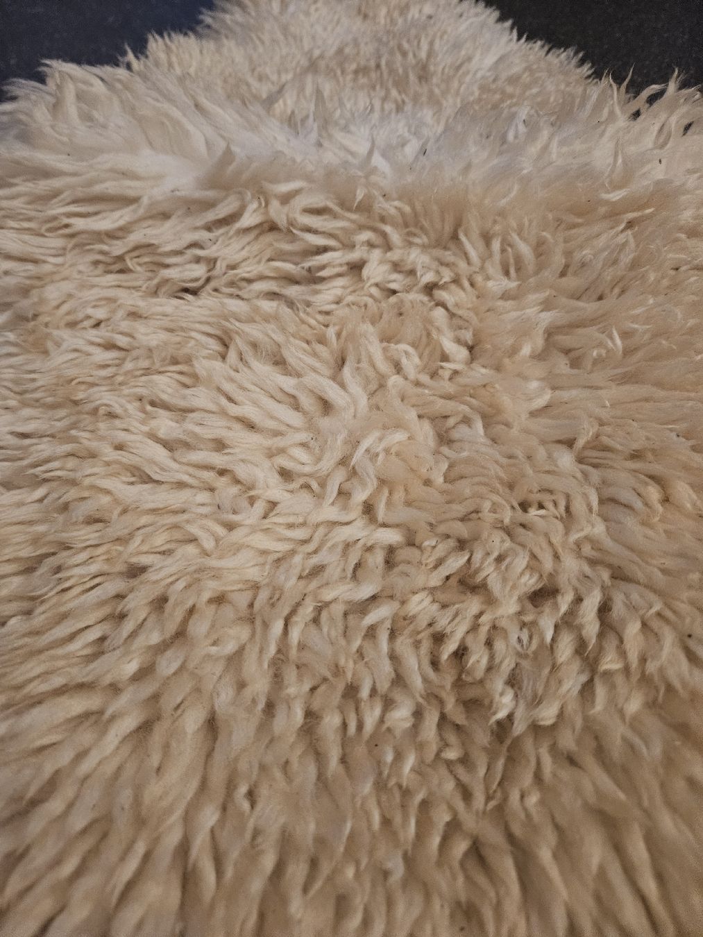 Teppiche: Fellteppich Teppich 90x40cm – Gebraucht aus Anwil von tamoos 2
