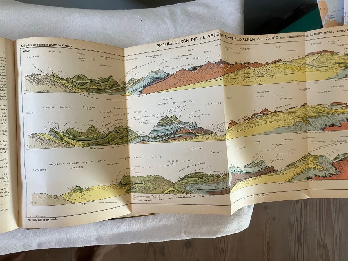 Libri: Albert Heim Geologie der Schweiz – Usato da ZUERICH venduto da Carolus1 5