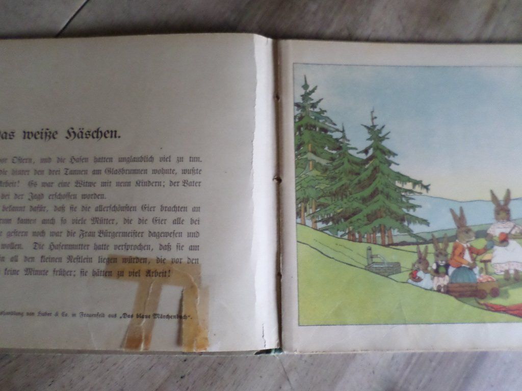 Libri: Das weisse Häschen – Usato da Liestal venduto da man_7bt6 7