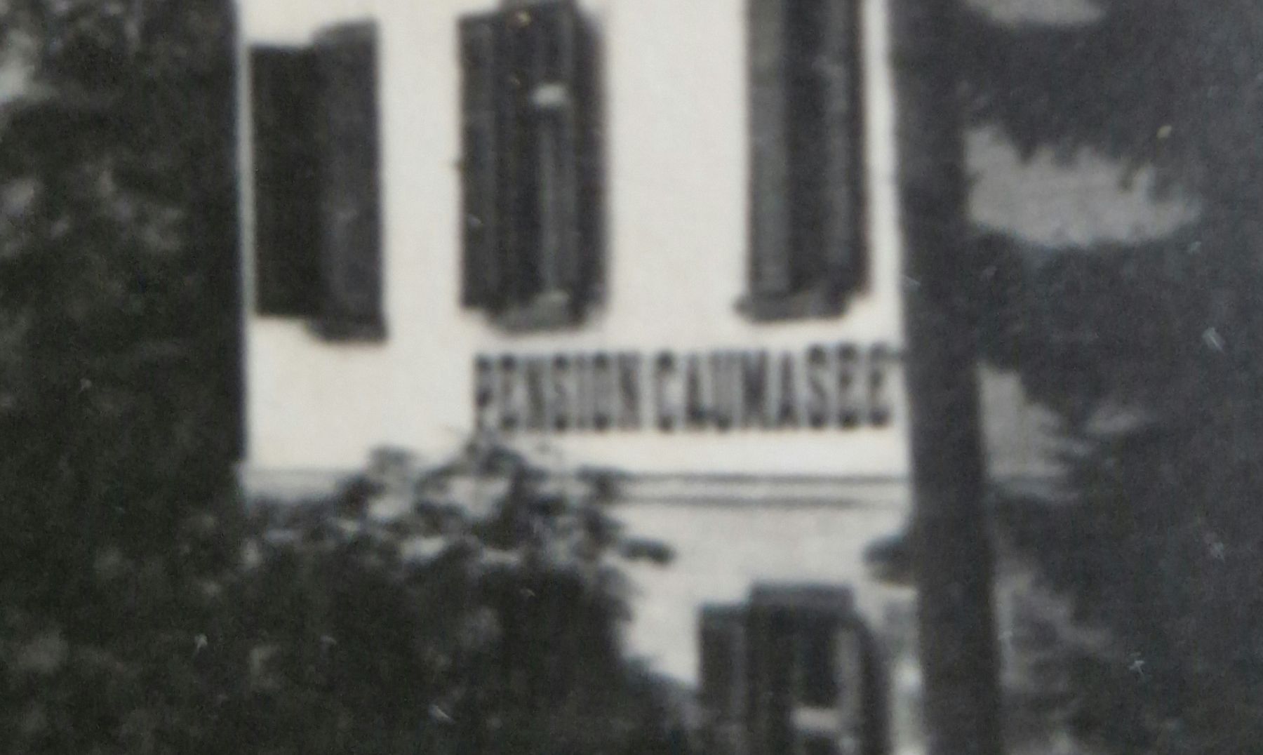 Cartoline postali: Pension Caumasee, Flims – Usato da Ebikon venduto da Donar50 2