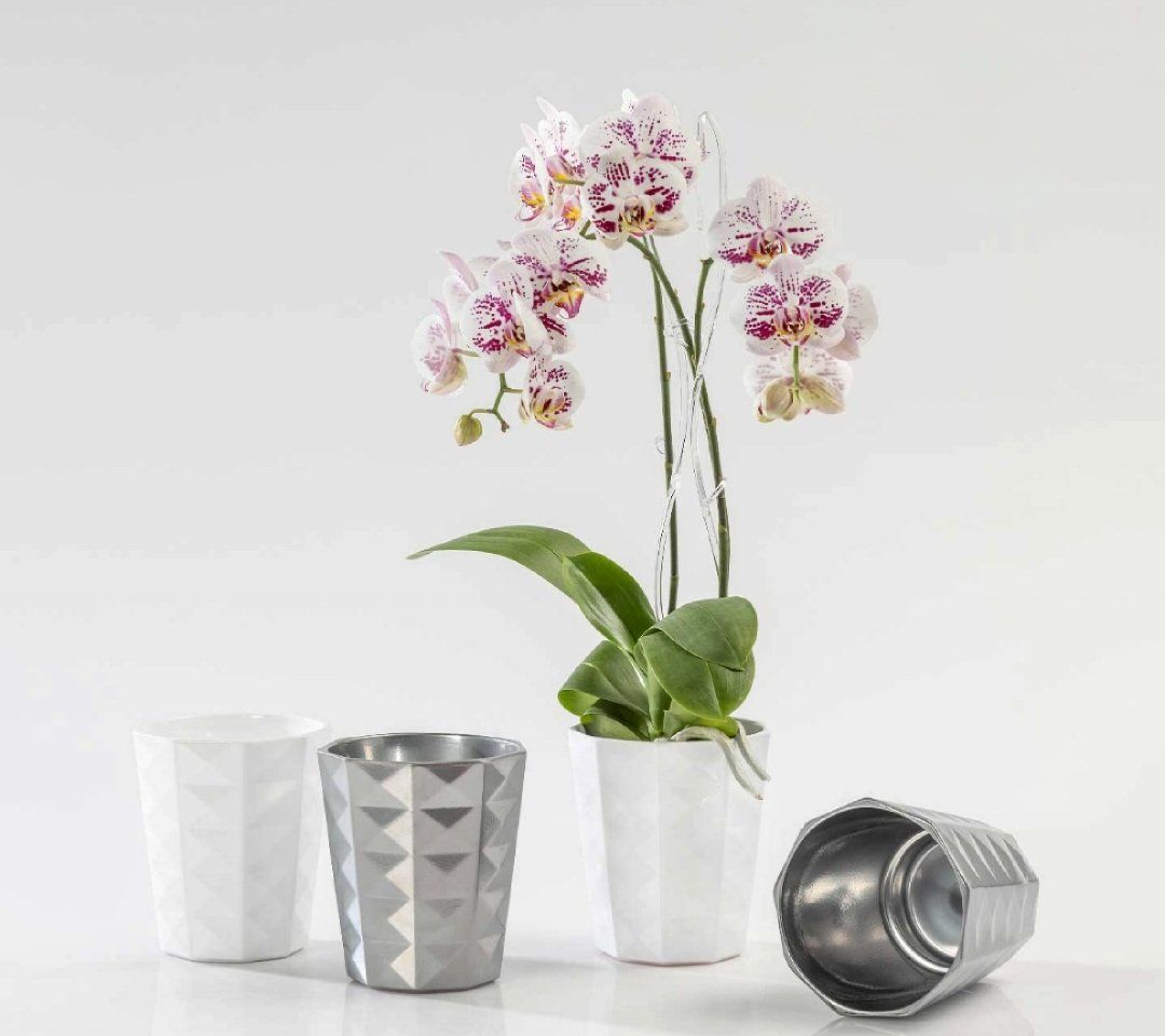 Vasi per fiori: Keramik Orchideenvasen 3 Stk. – Usato da Niederrohrdorf venduto da yan_zkz6 3