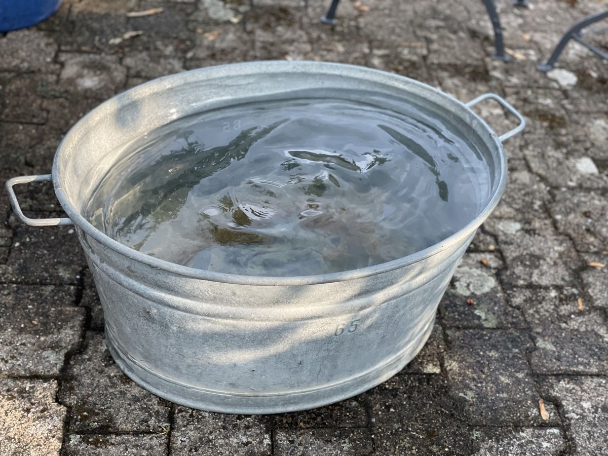 Altro per la casa: Zinkwanne 65l dicht – Usato da Baar venduto da Nini043 1