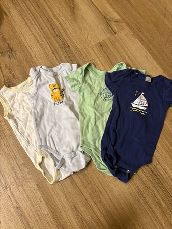 Body's grösse 74/80
