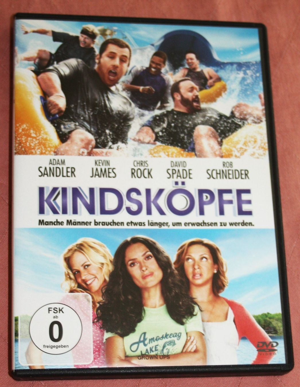 Tutti i DVDs: DVD Kindsköpfe (16) – Nuovo (secondo la descrizione) da Flüelen venduto da Rosegarden