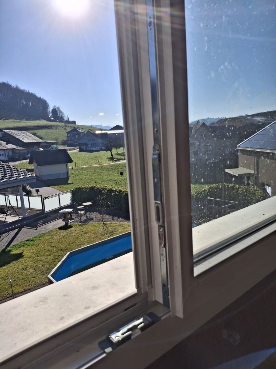 Finestre: Fenster von EgoKiefer – Usato da Lütisburg venduto da sel_k977 2