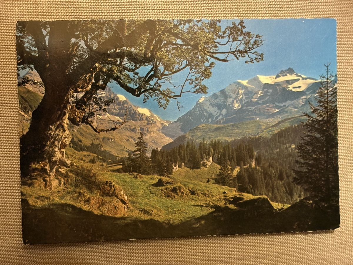 Cartoline postali: AK von Bergahorn Bergpanorama – Usato da Rümlang venduto da Kartenpost1