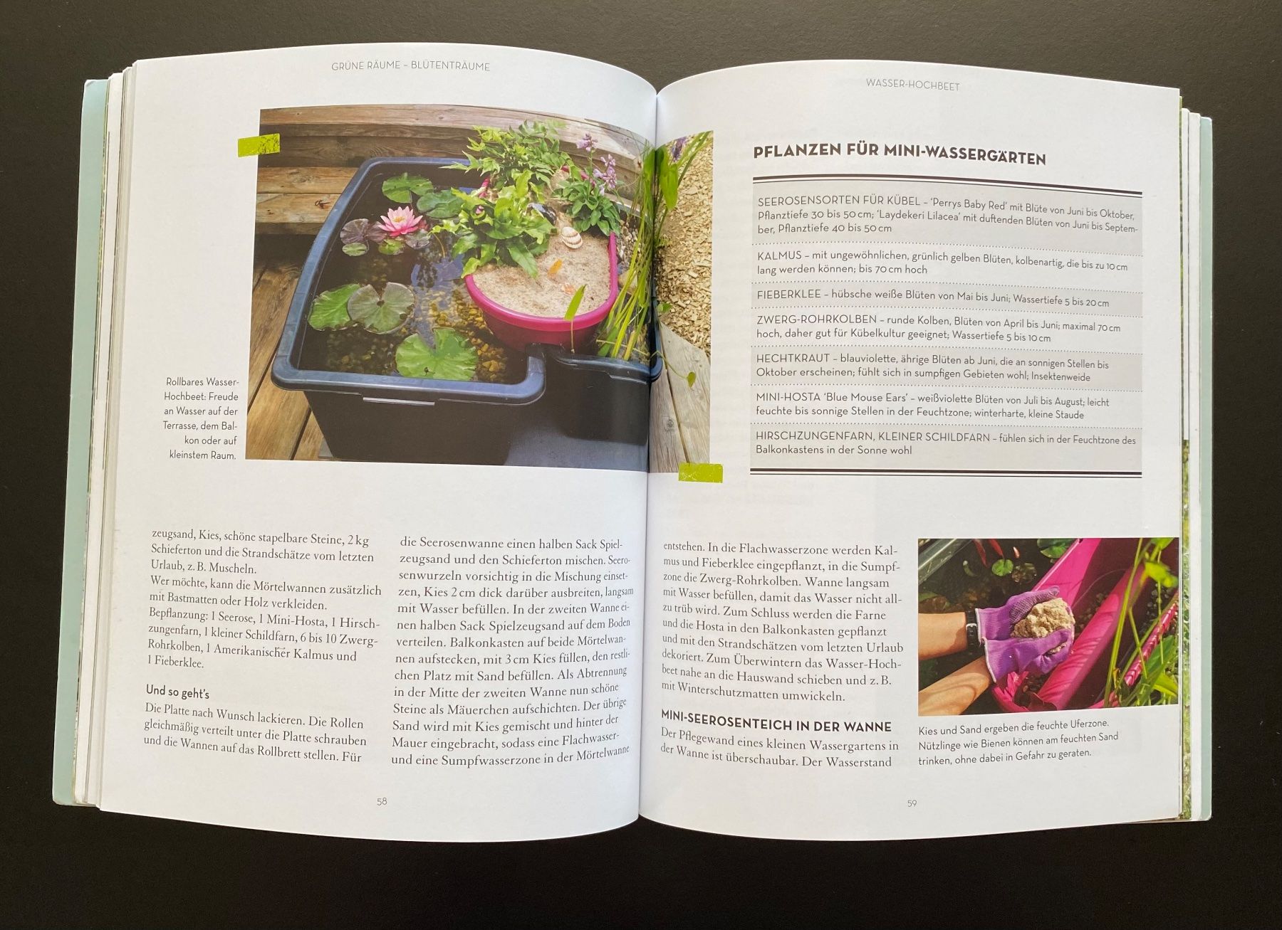 Bücher: KEIN PLATZ UND TROTZDEM GARTEN – Gebraucht aus Nussbaumen AG von schuba2000 4