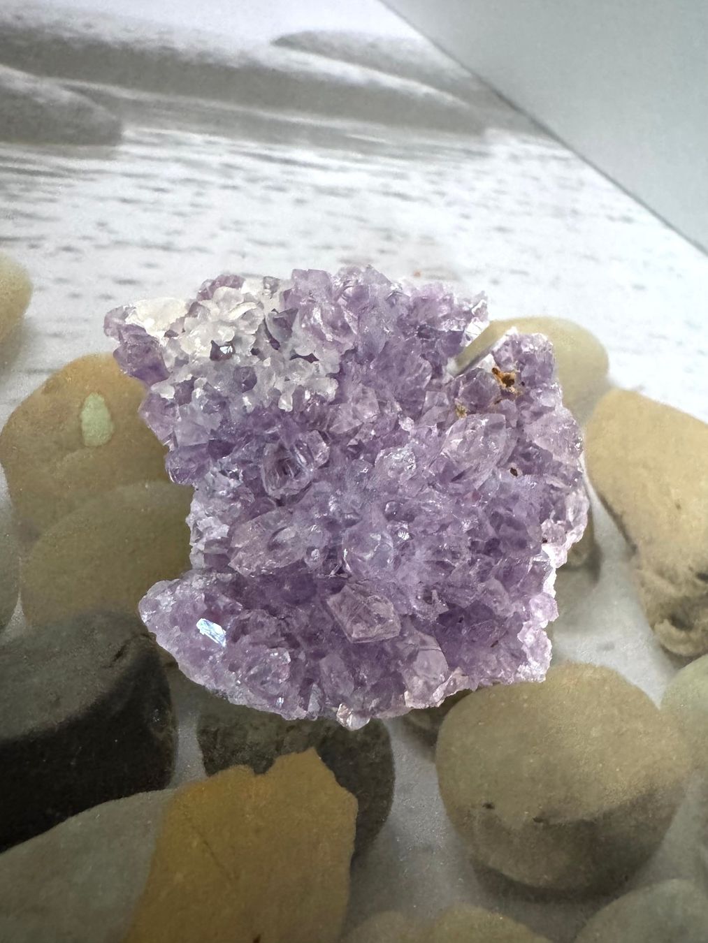 Pierres précieuses: Amethyst - Druse – Neuf (Voir description) à Biberist par Steine 1
