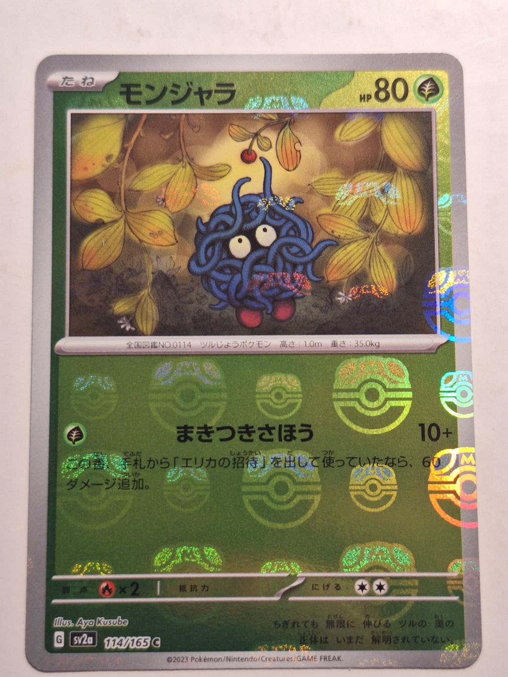 Pokémon Sammelbilder & Trading cards: Tangela - Masterball - sv2a #114/165c – Gebraucht aus Riva San Vitale von P.butti