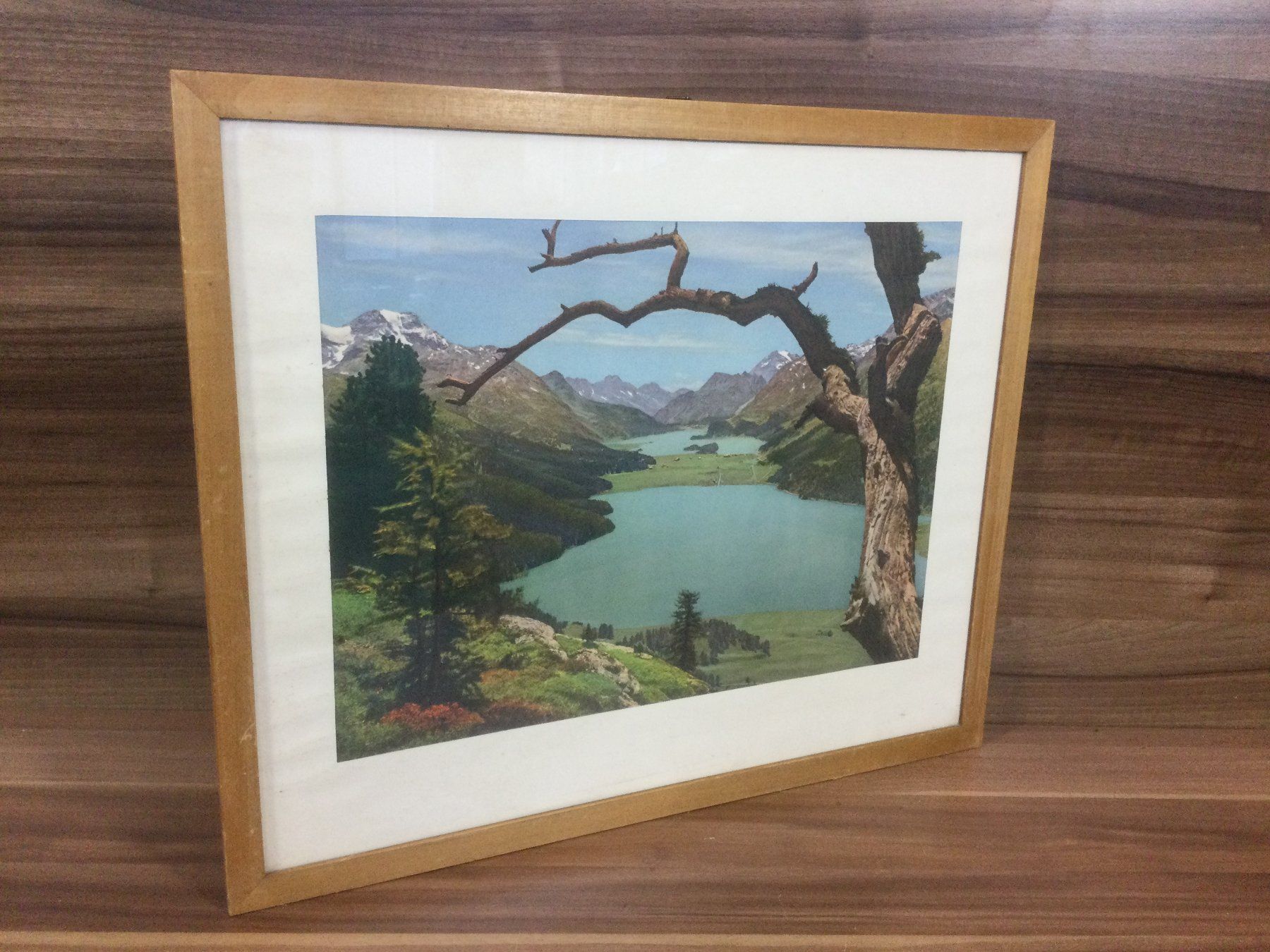 Foto & Immagini: Albert Steiner Ansicht Silsersee mit typischer Bergkulisse – Usato da Wangen SZ venduto da kuriosum12 6