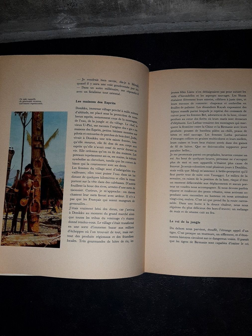 Livres: Images de birmanie – D'occasion à Le locle par juliensaran 1