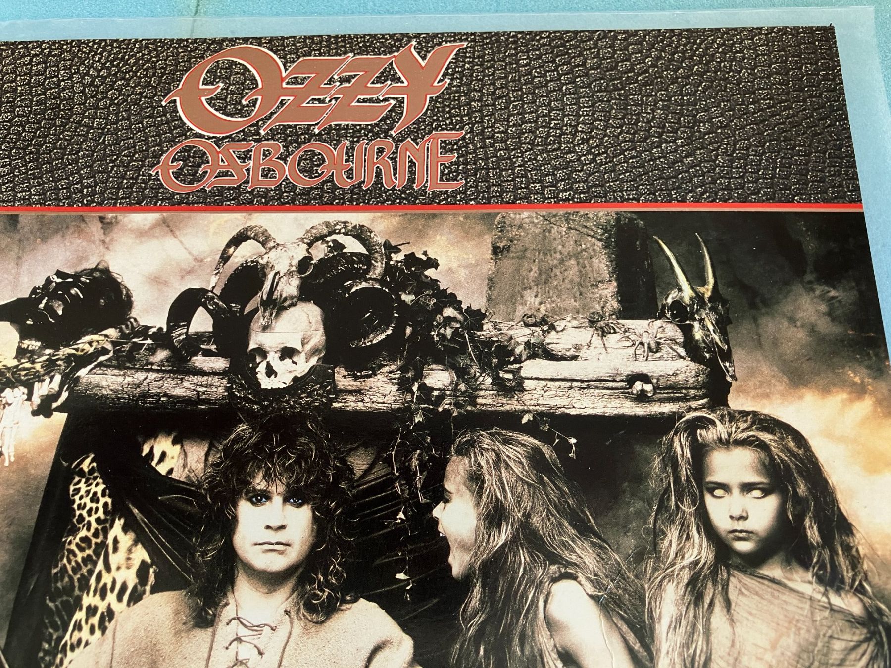 Dischi in vinile: Ozzy Osbourne – Usato da Aarwangen venduto da Jukebox3 1