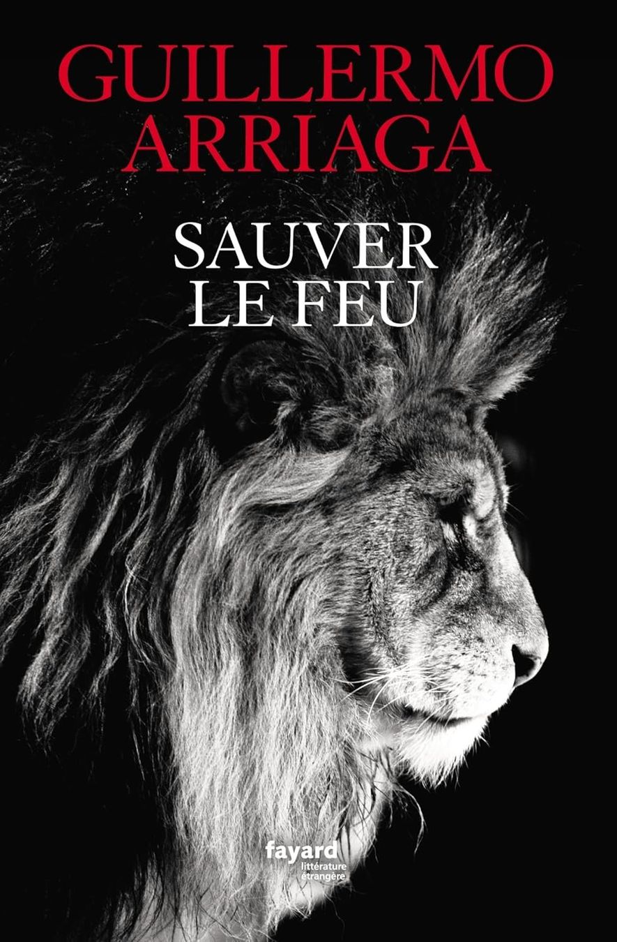 Livres: Sauver le feu – D'occasion à Neuchâtel par Dualseele