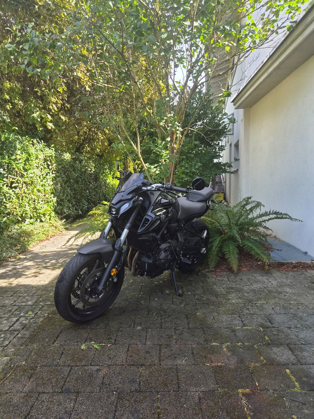 Yamaha Strada: Yamaha Mt 07 2023 – Usato da Fislisbach venduto da LEMO_Motos 5
