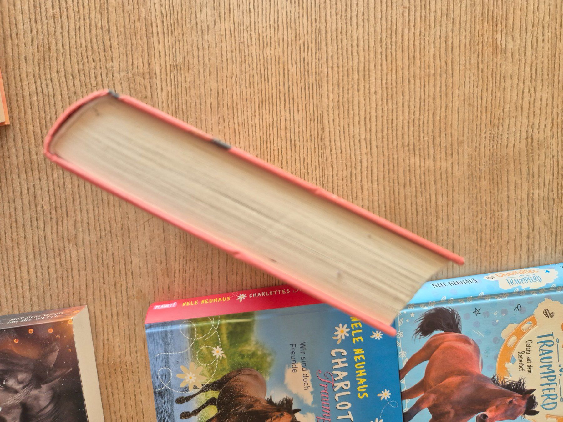 Bücher: Charlottes Traumpferd Serie – Gebraucht aus Bourguillon von sibzoy 1