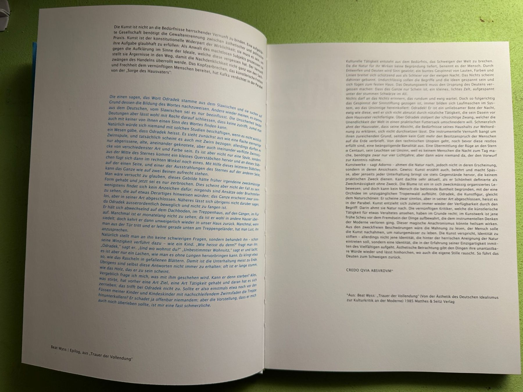 Libri: Lisa Schiess: Odradek oder Die Laufmasche im System. d/e – Usato da Zürich venduto da allp 1