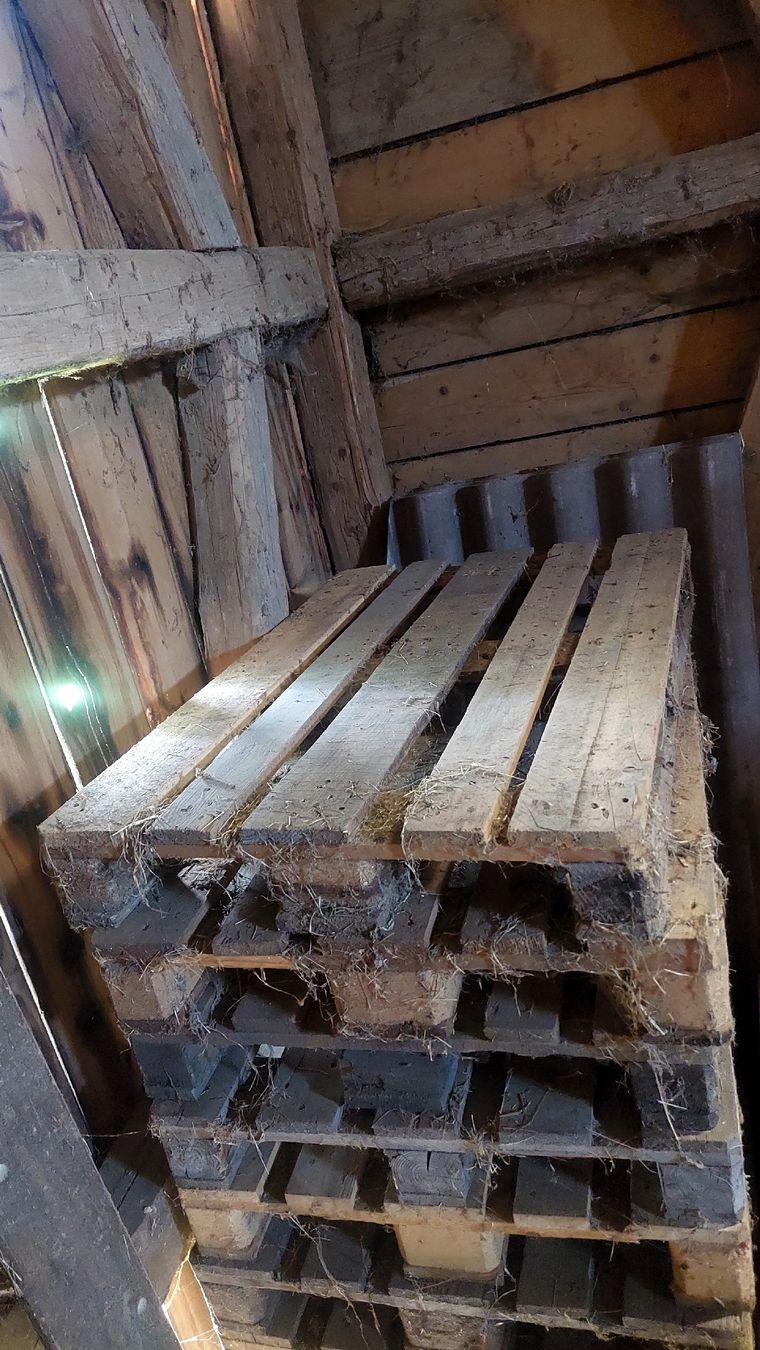 Paletten: 7 Europaletten – Gebraucht aus Andwil SG von adr_7gnk 1
