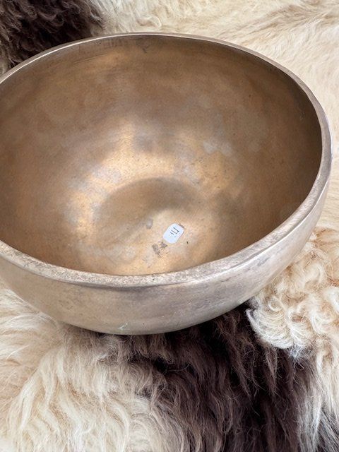 Strumenti musicali: bol chantant – Nuovo (secondo la descrizione) da Genève venduto da san_lb79 1