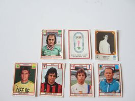 Panini 1976 vintage
