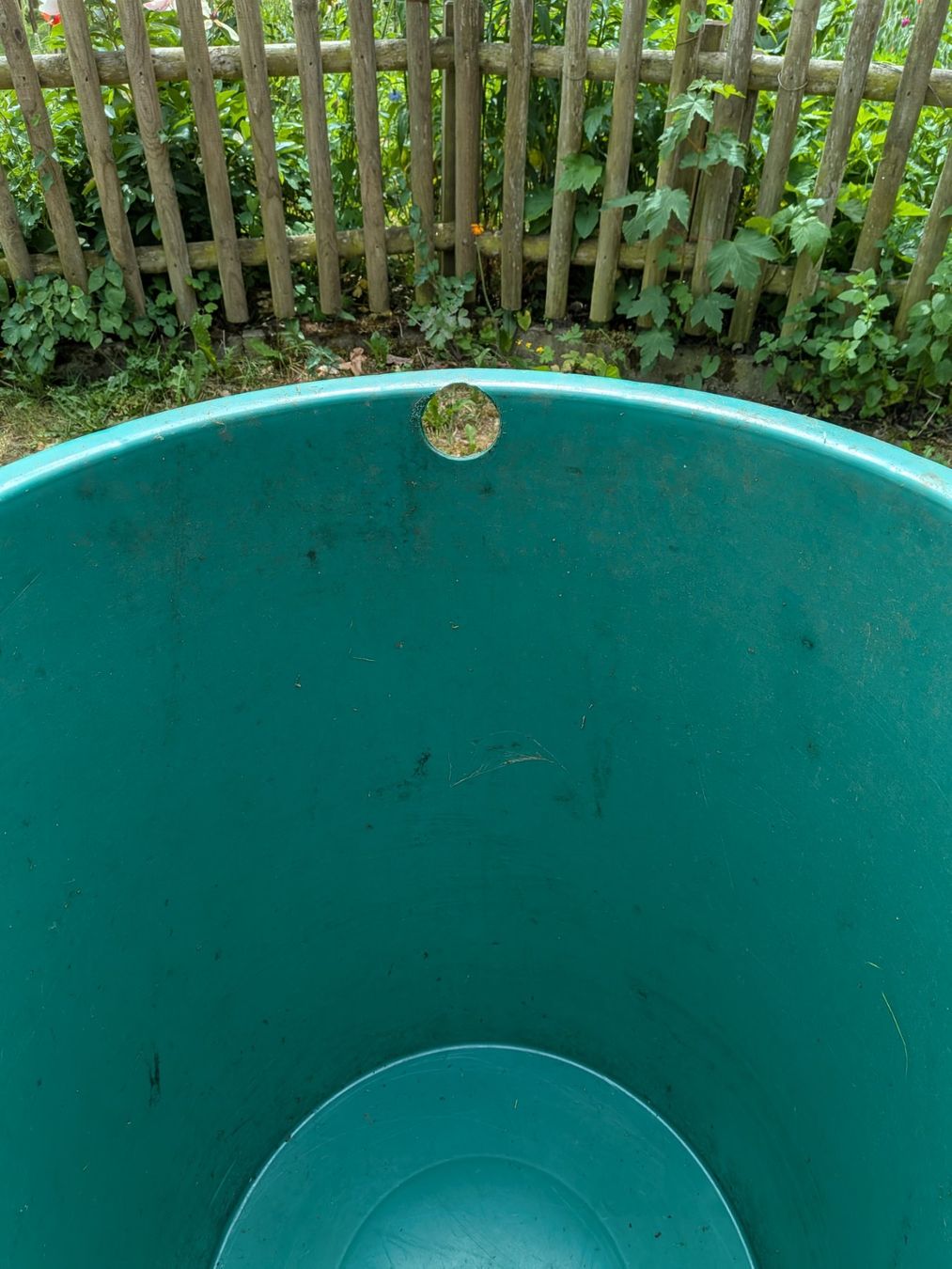 Annaffiatura & Irrigazione: Regenwasserfass – Usato da uettligen venduto da simba036 1