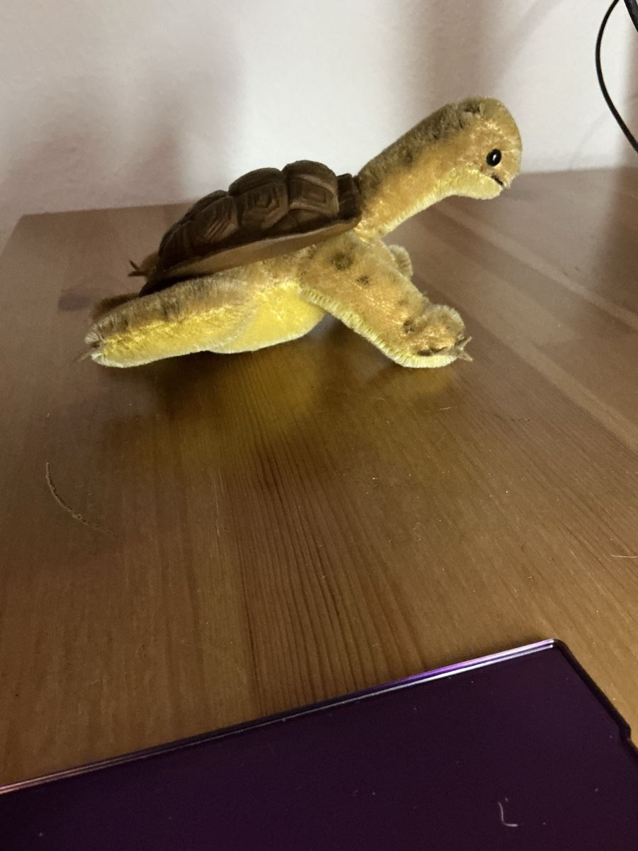 Steiff Giocattoli: Steiff Sol ( Schildkröte) – Usato da Basel venduto da S.Wehrli72 2
