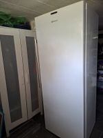 Gefrierschrank Bauknecht