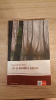 Un si terrible secret, Evelyne Brisou-Pellen