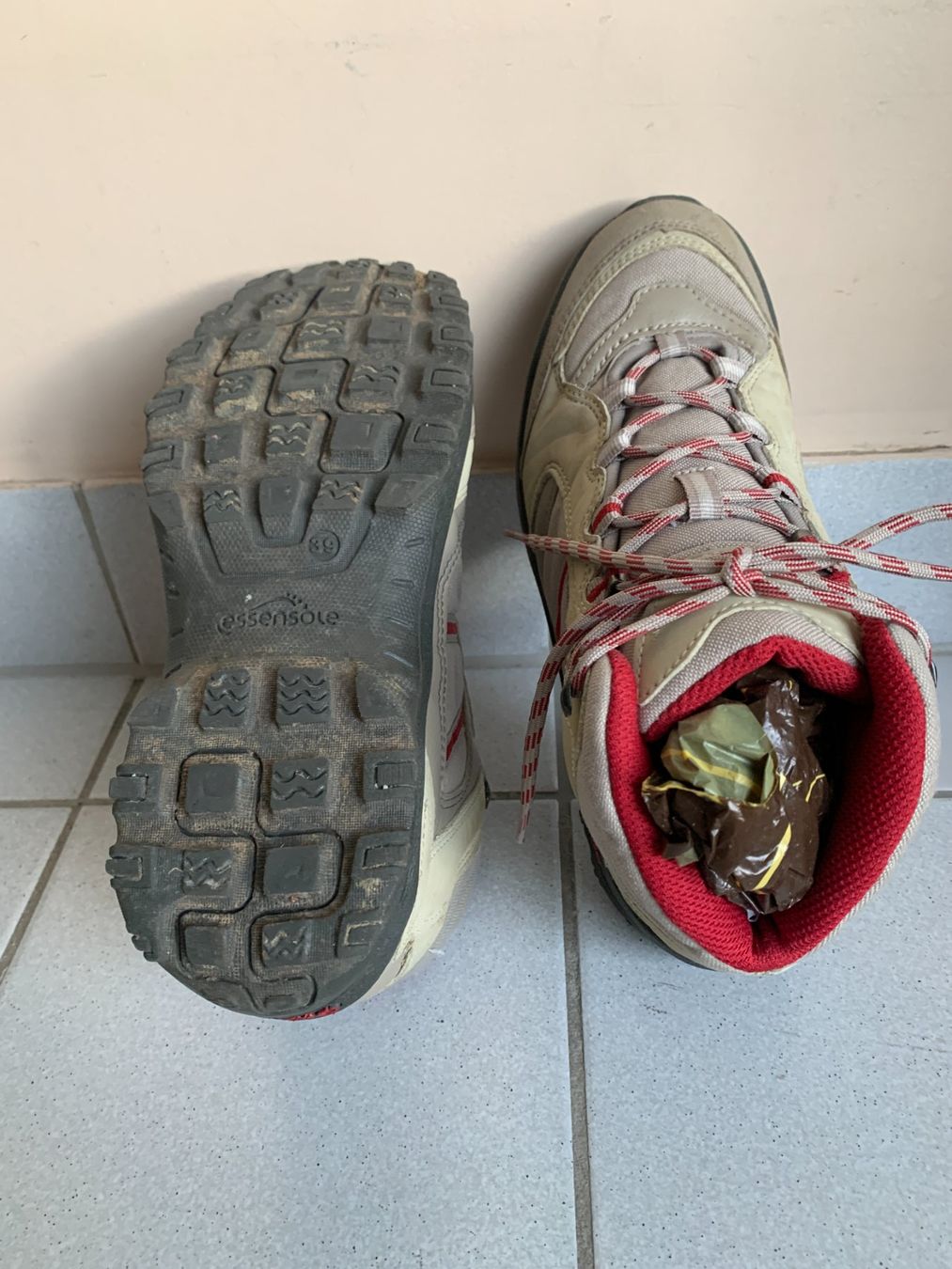 Decathlon Scarpe da uomo: Chaussure de randonnée Quecha – Usato da Petit-Lancy venduto da chezRic 2
