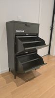 Pantone Schuhschrank dunkelgrün - wie neu
