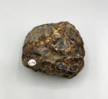 Blauer Bernstein - Rohstein - Naturbelassen