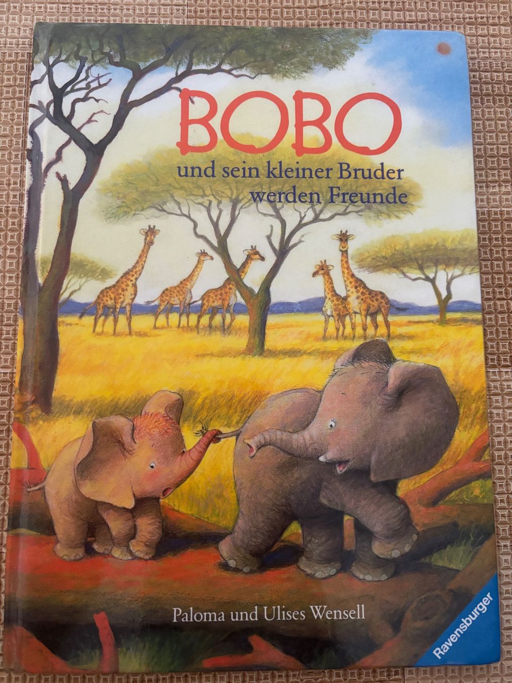 Libri: Bobo und sein kleiner Bruder werden Freunde – Usato da Thun venduto da Melpi2010