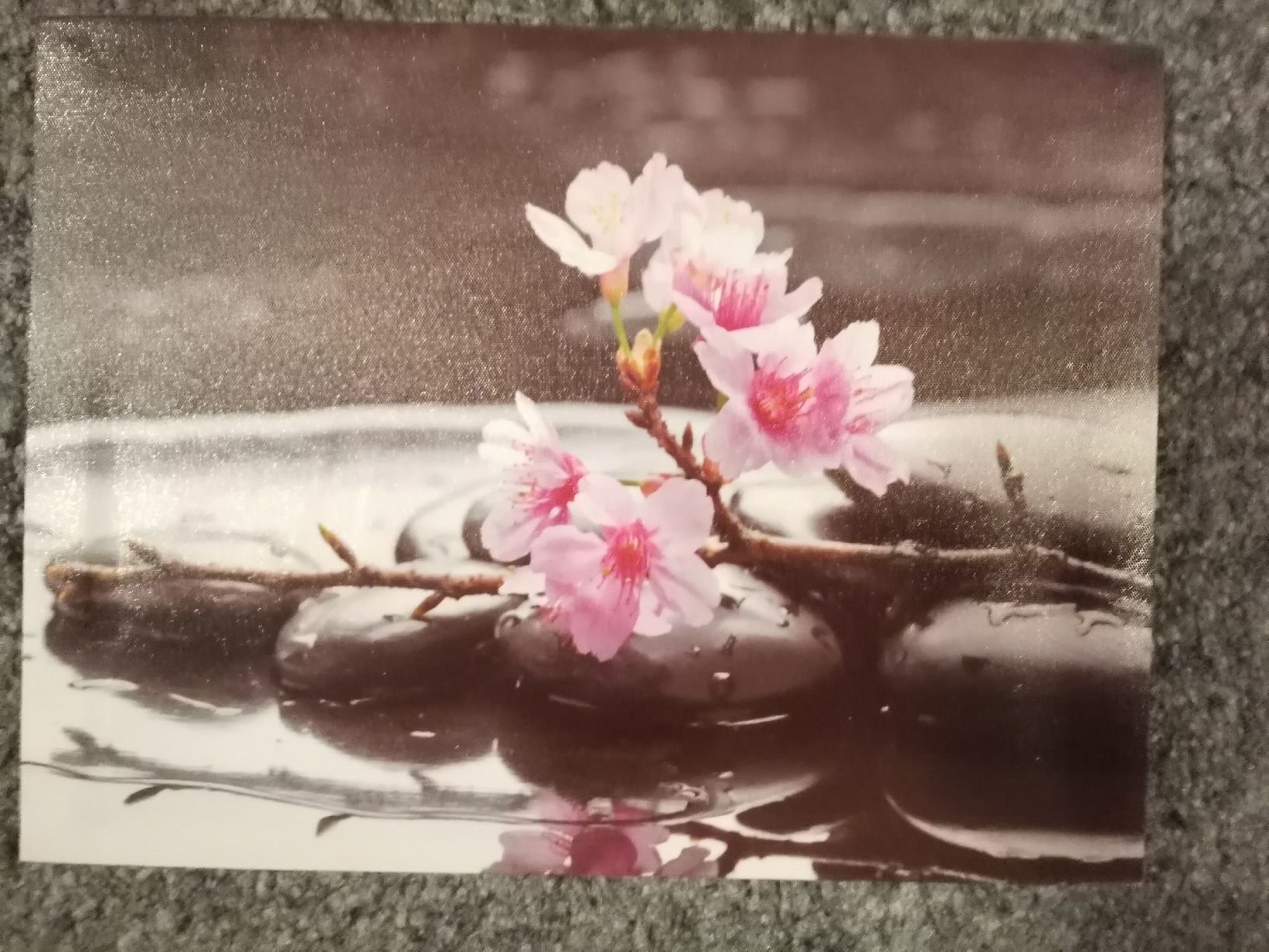 Foto & Immagini: Frühlingsbild mit Kirschblüten und Steinen – Usato da Bottighofen venduto da andax